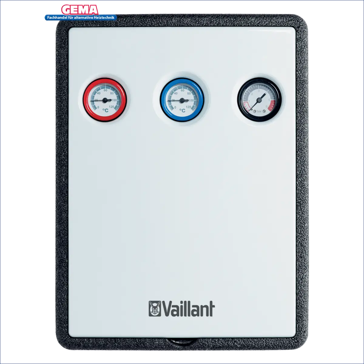 Vaillant temperatur- und druckmessgerät mit 2 Manometern 🔴🔵 zur effizienten Überwachung von Solaranlagen.